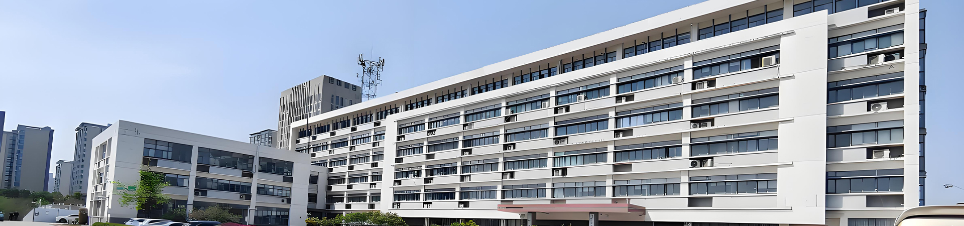公司簡介